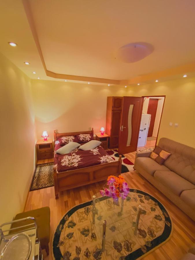 Apartament Cristian Geoagiu Băi Exterior photo