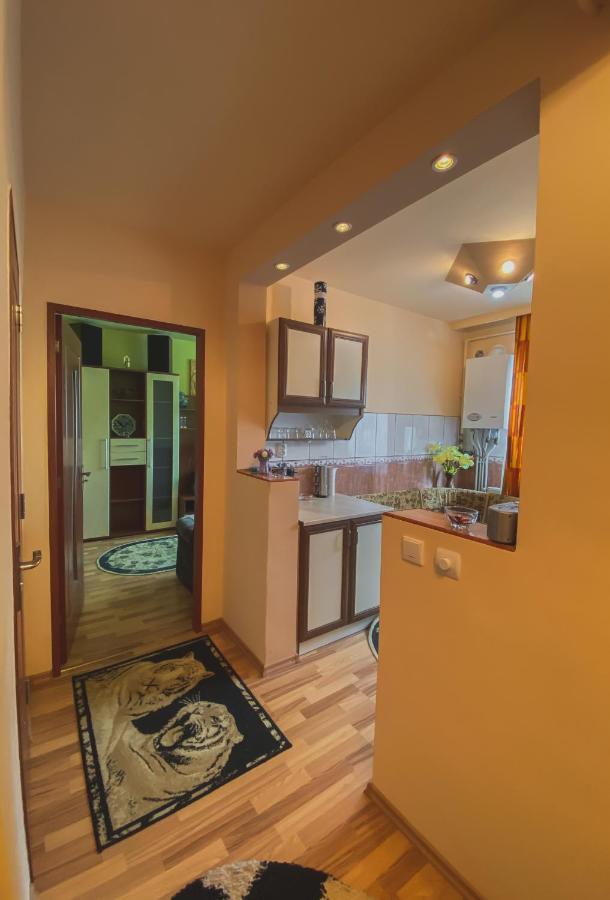 Apartament Cristian Geoagiu Băi Exterior photo