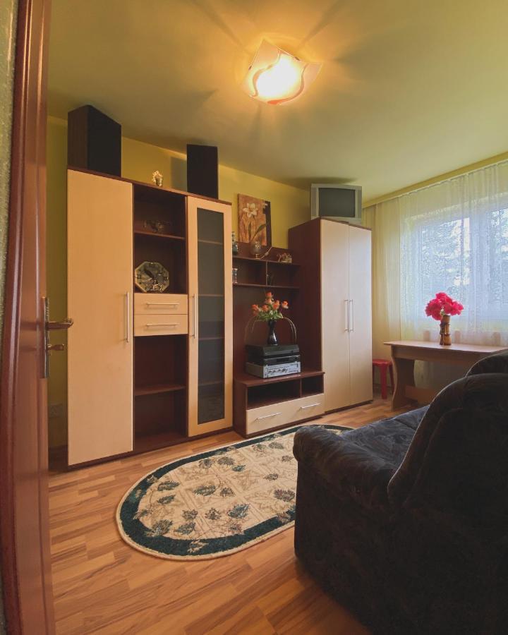Apartament Cristian Geoagiu Băi Exterior photo