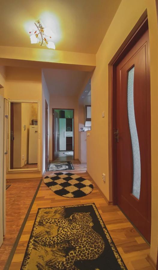 Apartament Cristian Geoagiu Băi Exterior photo